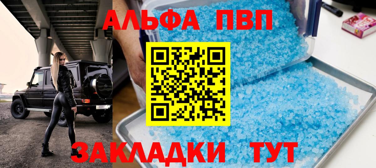 Alfa_PVP СК КРИС Барнаул