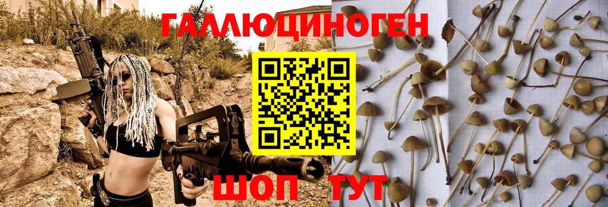 Галлюциногенные грибы MAGIC MUSHROOMS Барнаул