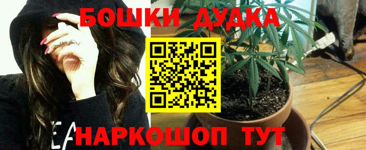 МАРИХУАНА план  Вход с VPN  Канабис Amnesia  Барнаул  Каннабис White Widow 